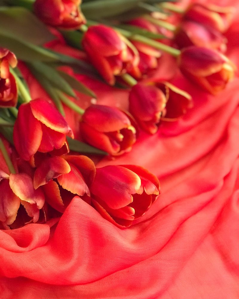 Photograph by Татьяна Волохова