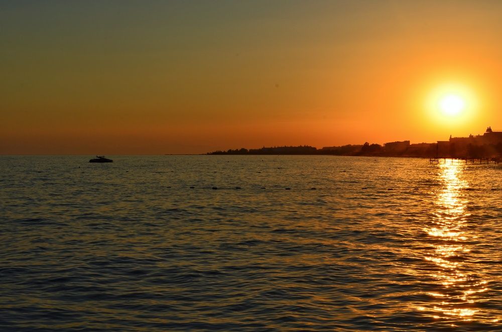 Photograph by Soldatenko Maksim