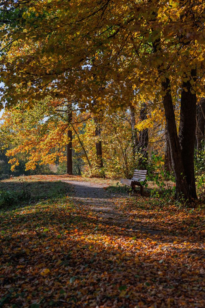 Photograph by Andrei Naliahach