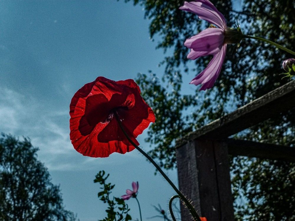 Photograph by Алексей Логинов