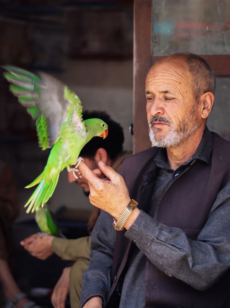 Photograph by Ahmad Qasim Mirzaie