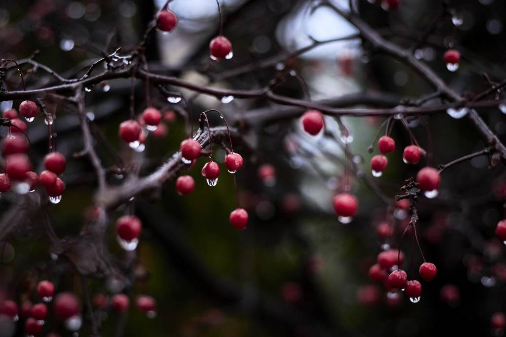 Photograph by Татьяна Полянская