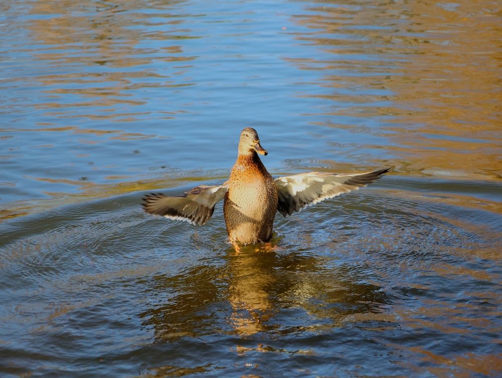 Photograph by Серёга Ануфриев