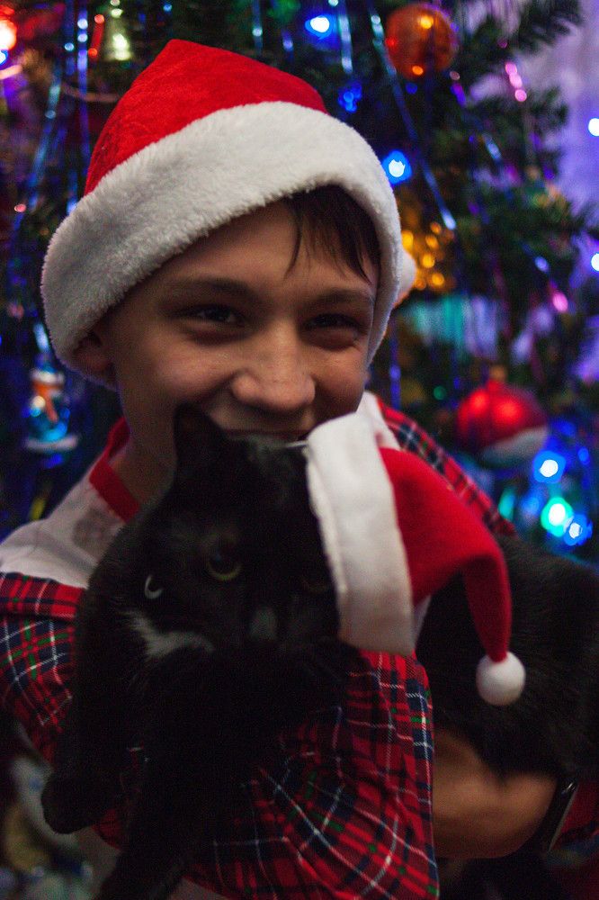 Photograph by Елена Казаренко