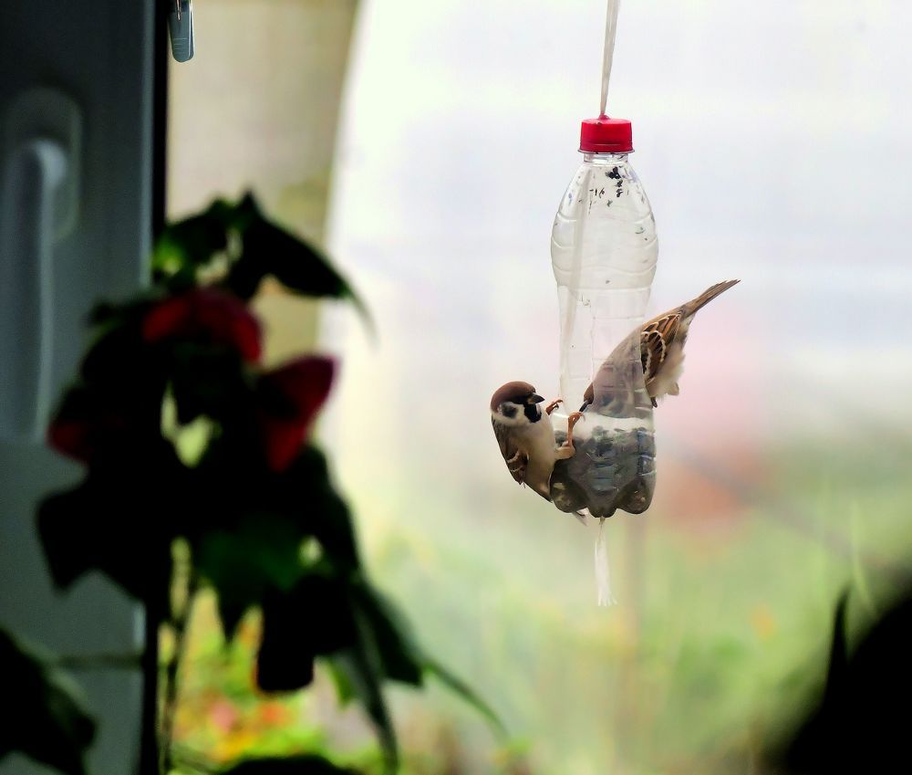 Photograph by Николай Абакумов