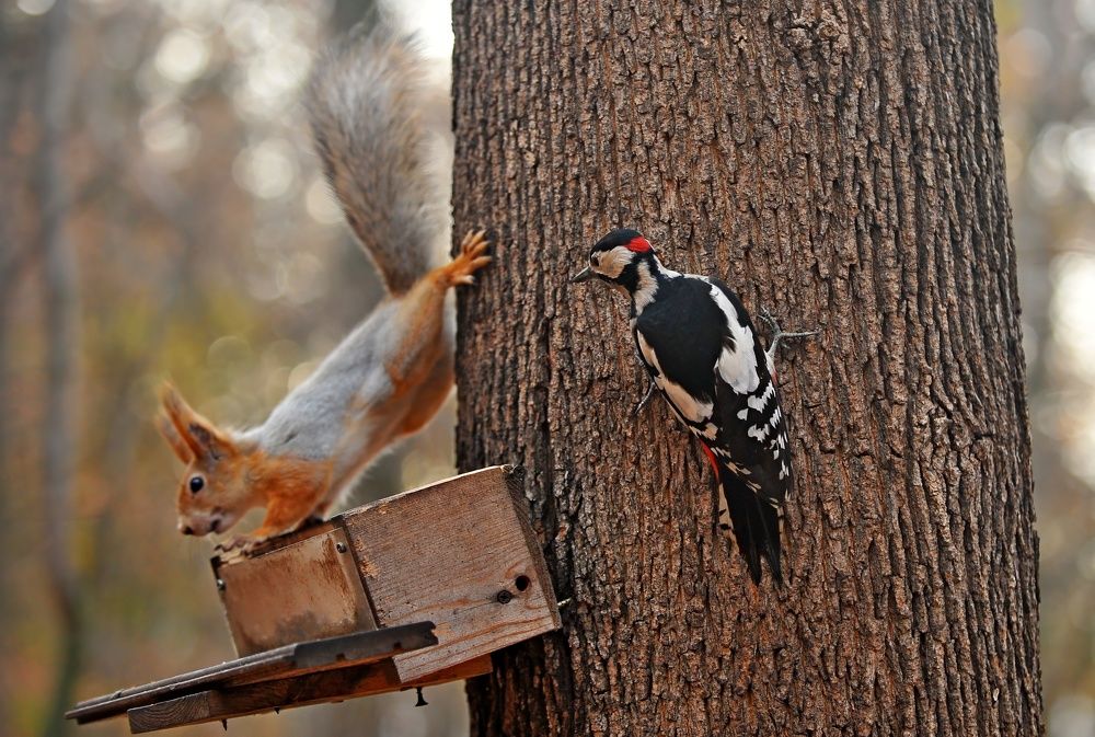 Photograph by Алексей Volg