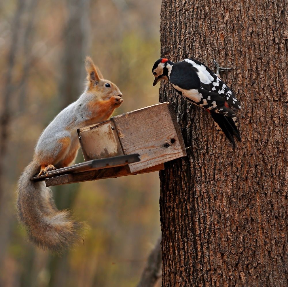 Photograph by Алексей Volg