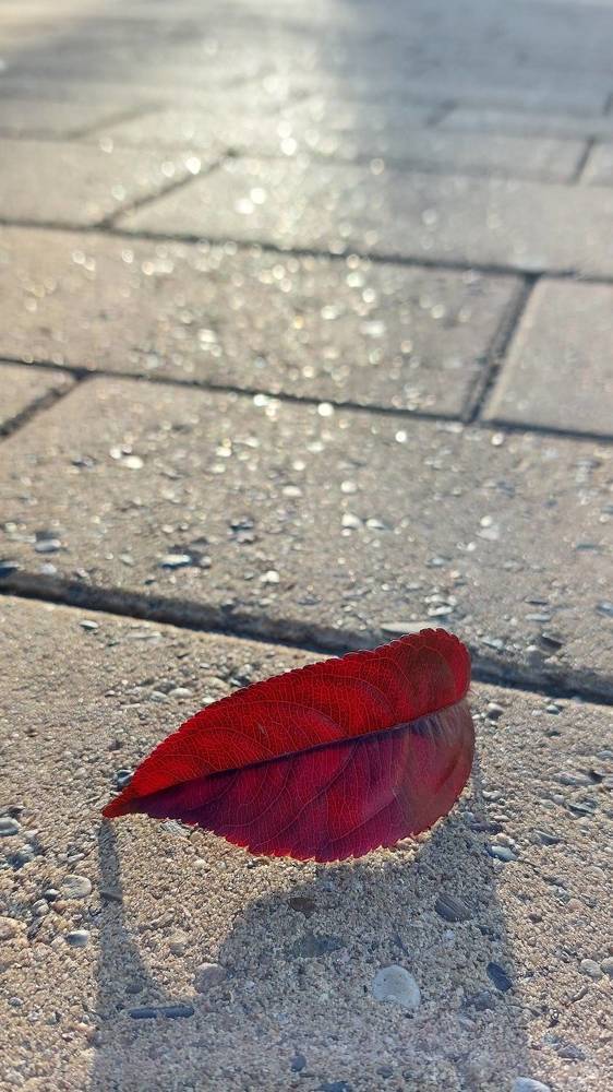 Photograph by Наталья Дубовкина