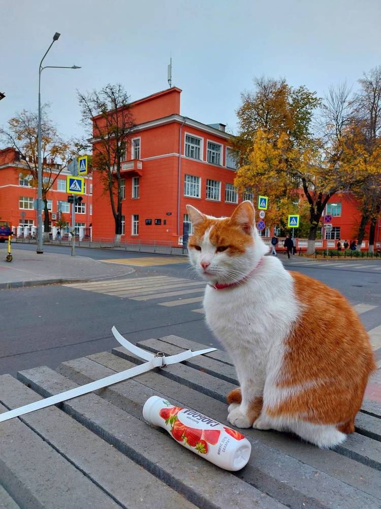 Photograph by Наталья Дубовкина