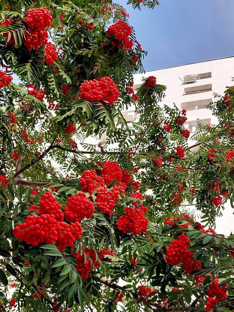 Photograph by Наталья Дубовкина