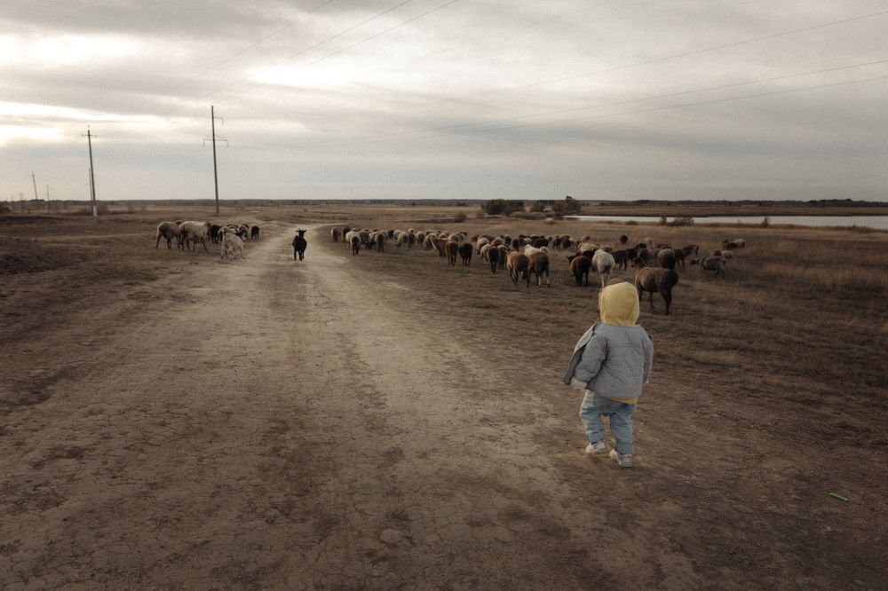 Photograph by Яворская Юлия Артуровна