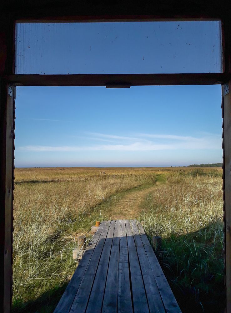 Photograph by Agita Leimane