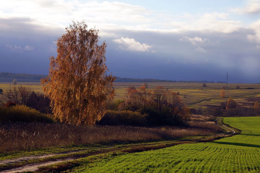 Photograph by Пётр Соколов