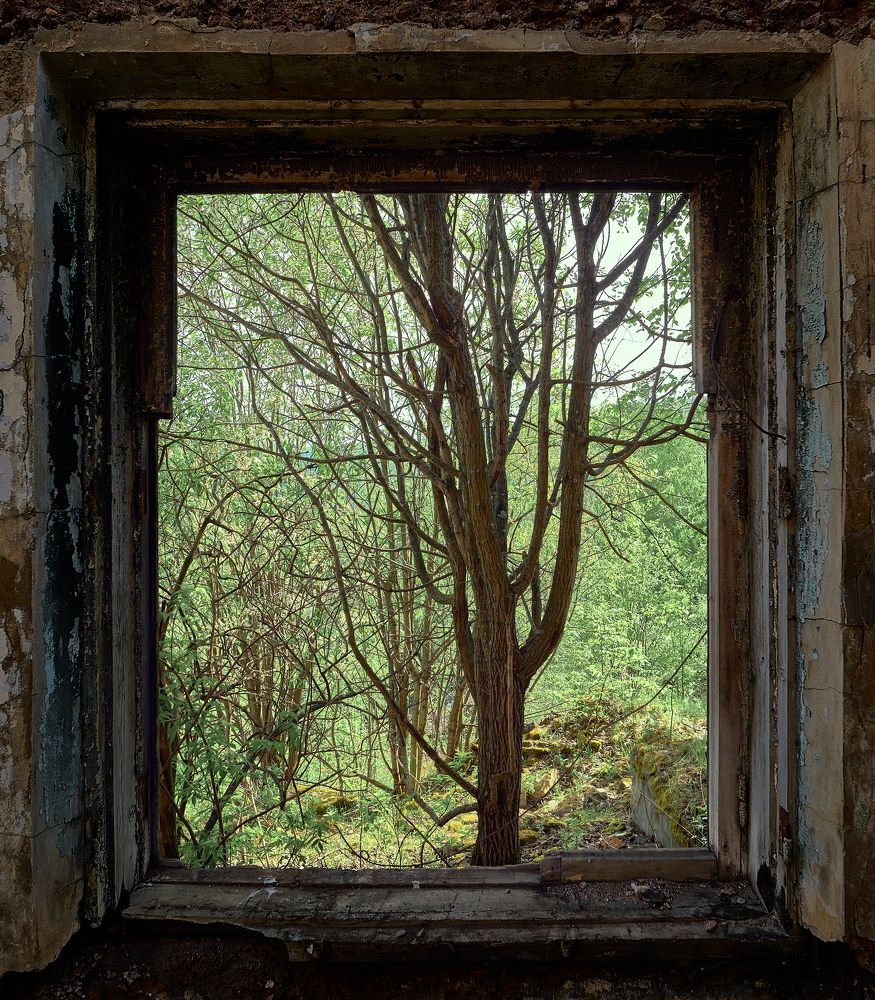 Photograph by Сергей Скоробогатов