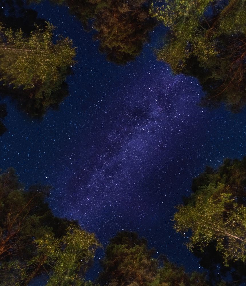 Photograph by Рагинская Ольга