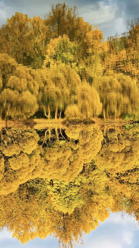 Photograph by Oksana Shchegolkova