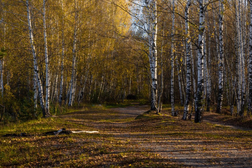 Photograph by Светлана Тараканова