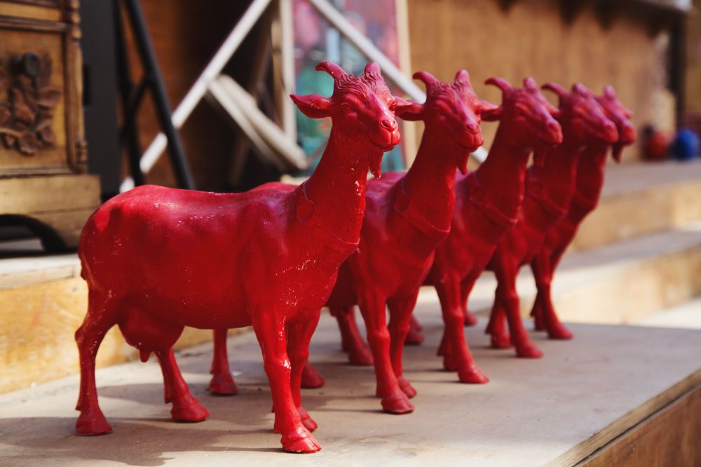 Photograph by Ольга