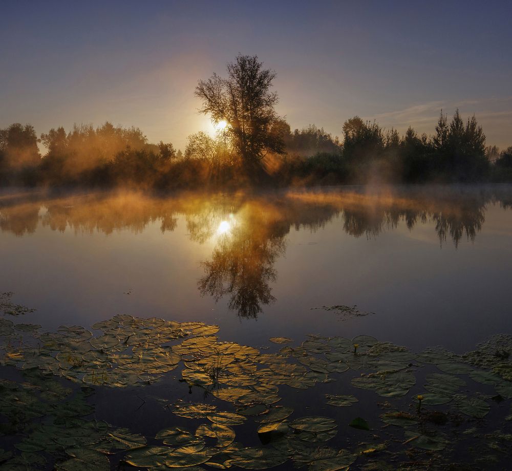 Photograph by Чичкин Валерий