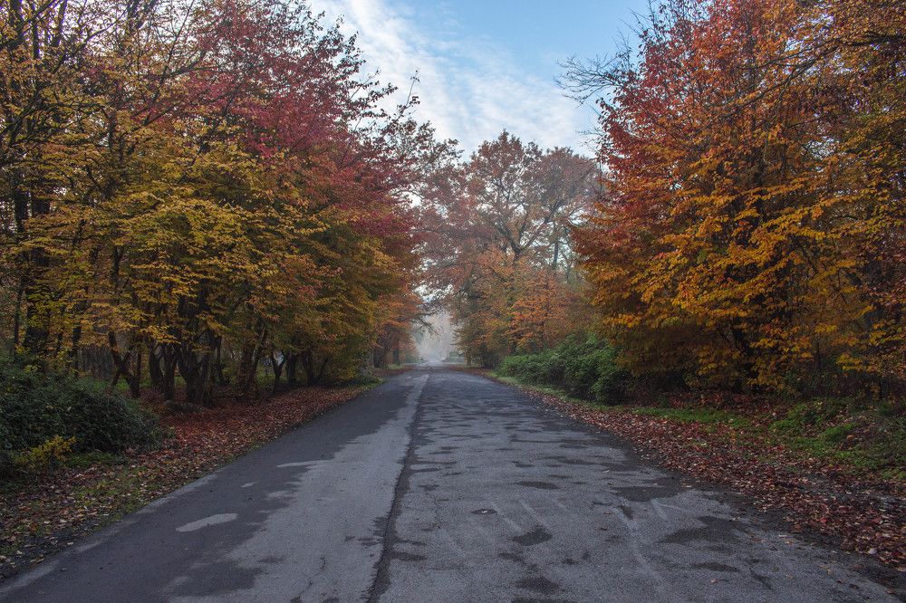 Photograph by Reza Zanganeh