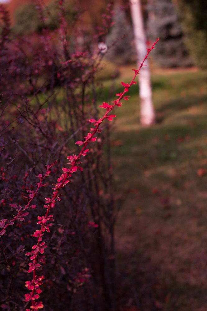 Photograph by Елена Казаренко