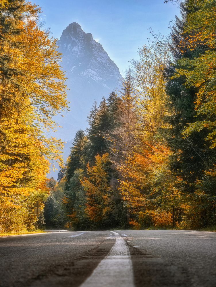 Фотография автора Сергей Котов