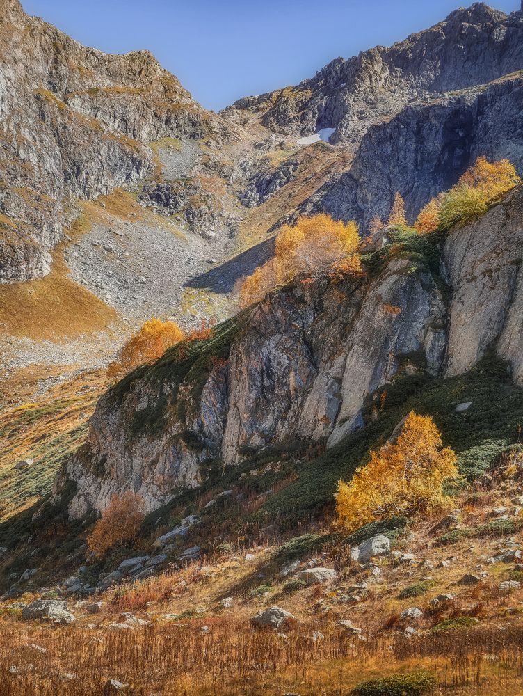 Фотография автора Сергей Котов