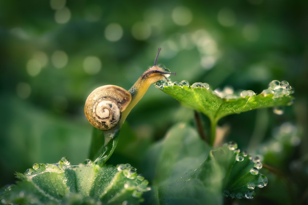 Photograph by Рагинская Ольга