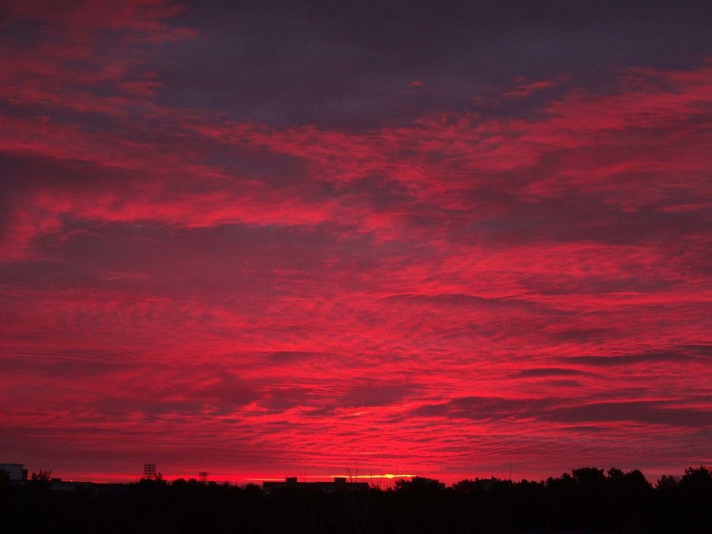 Photograph by Игорь Пшеничников