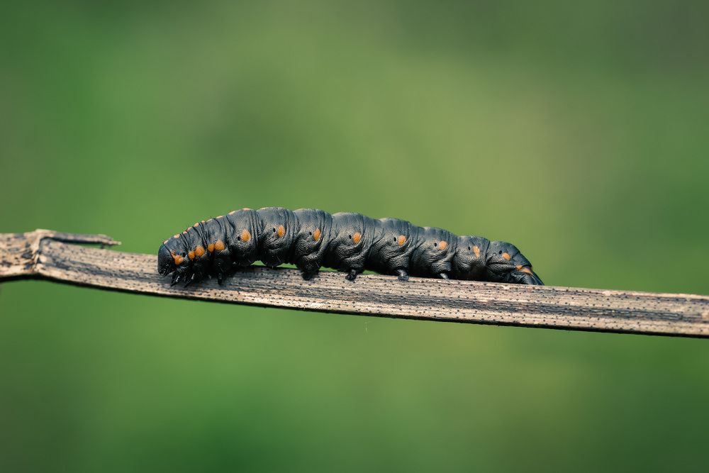 Photograph by Рагинская Ольга