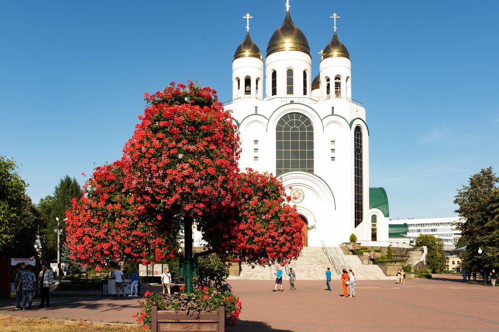 Photograph by Olga Smirnova