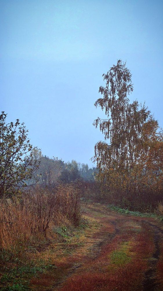 Photograph by Anastasiya