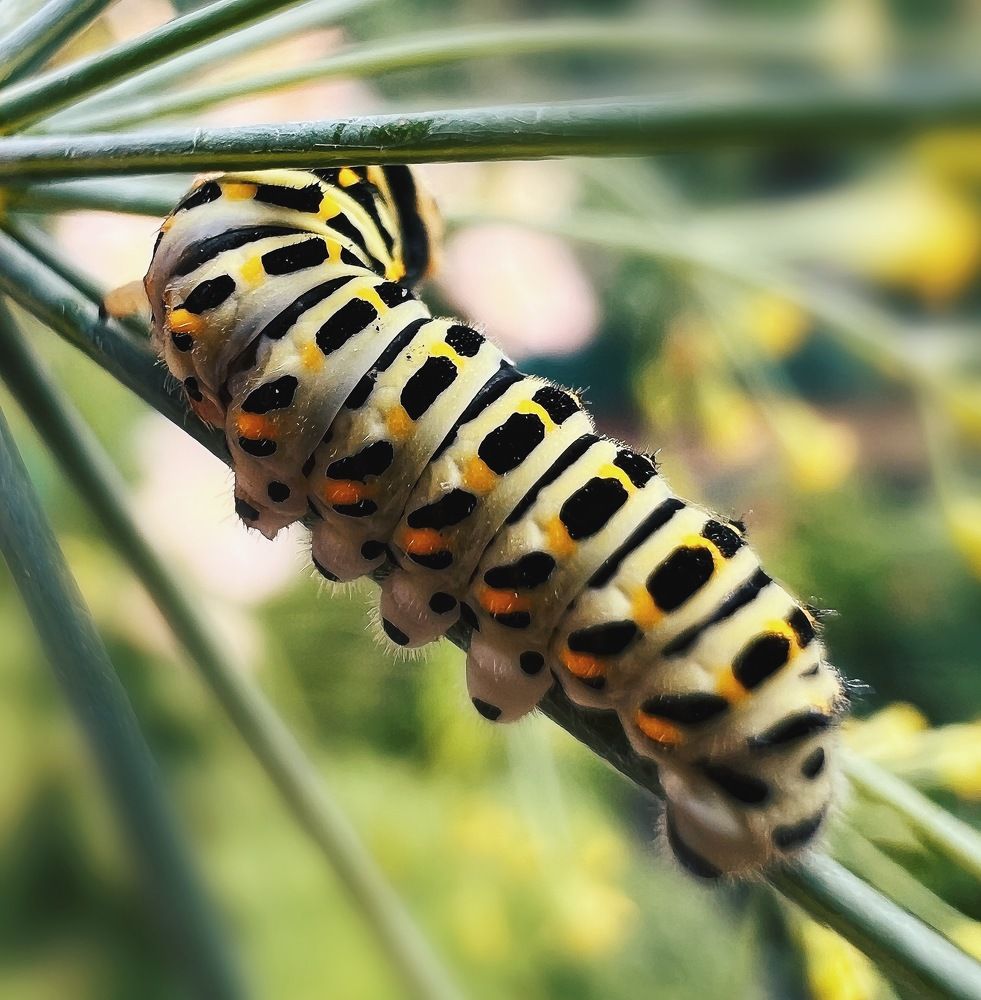 Photograph by Татьяна Волохова