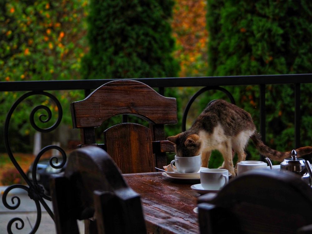 Photograph by Olga Nevedrova