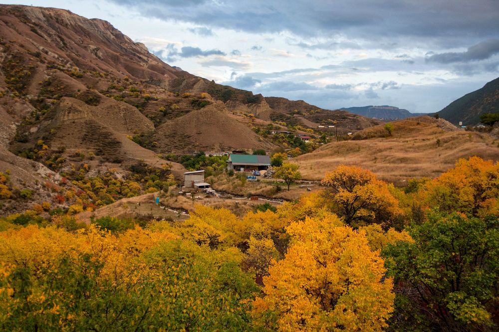 Photograph by Юлия Алексейчикова