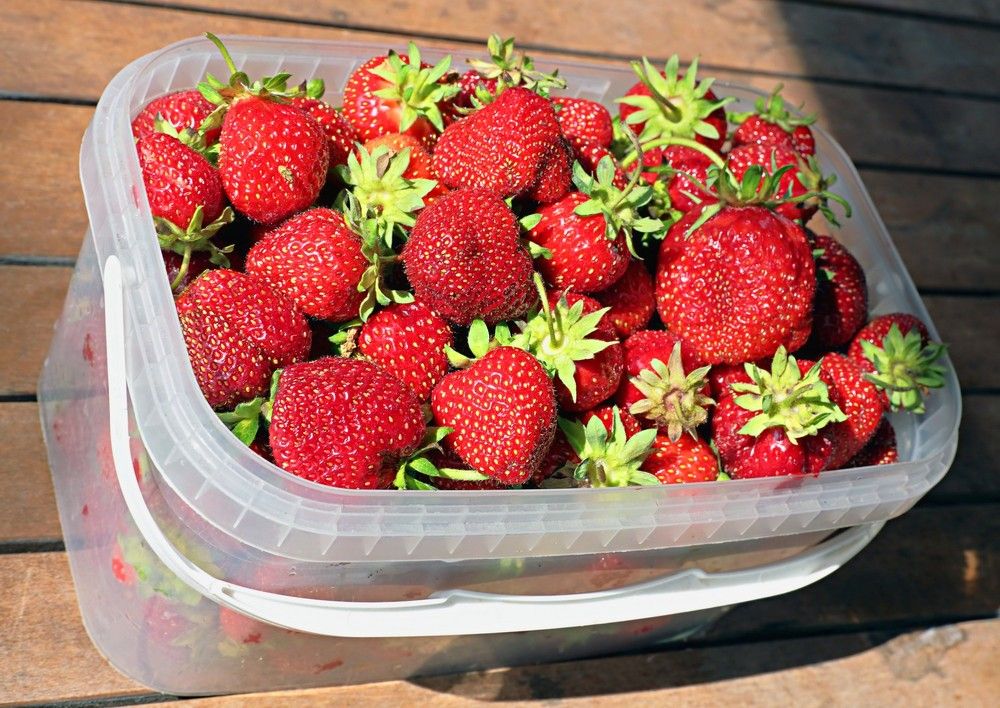 Photograph by Сергей Ключарёв