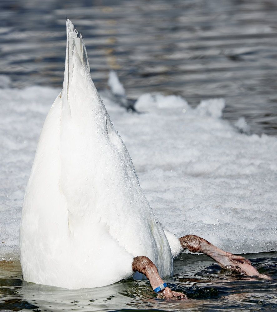 Фотография автора Дмитрий Смирнов