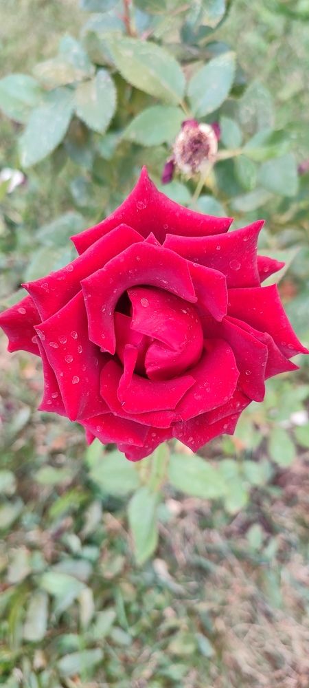 Photograph by Евгений Захаров