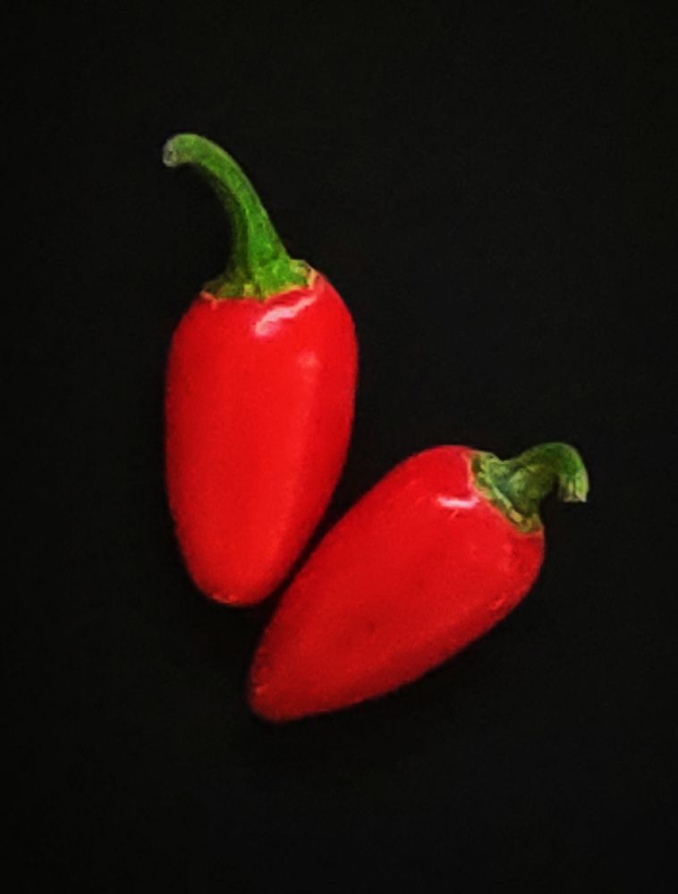 Photograph by Kaouche Mohamed