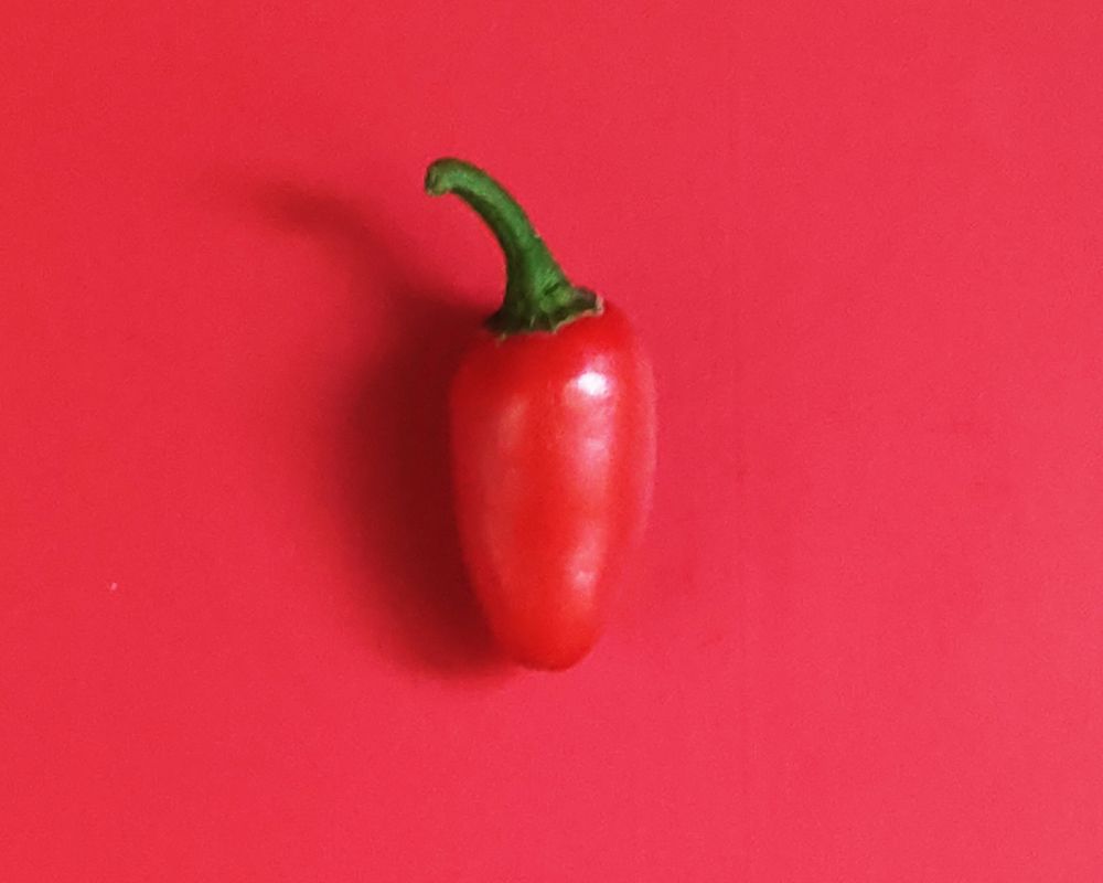 Photograph by Kaouche Mohamed