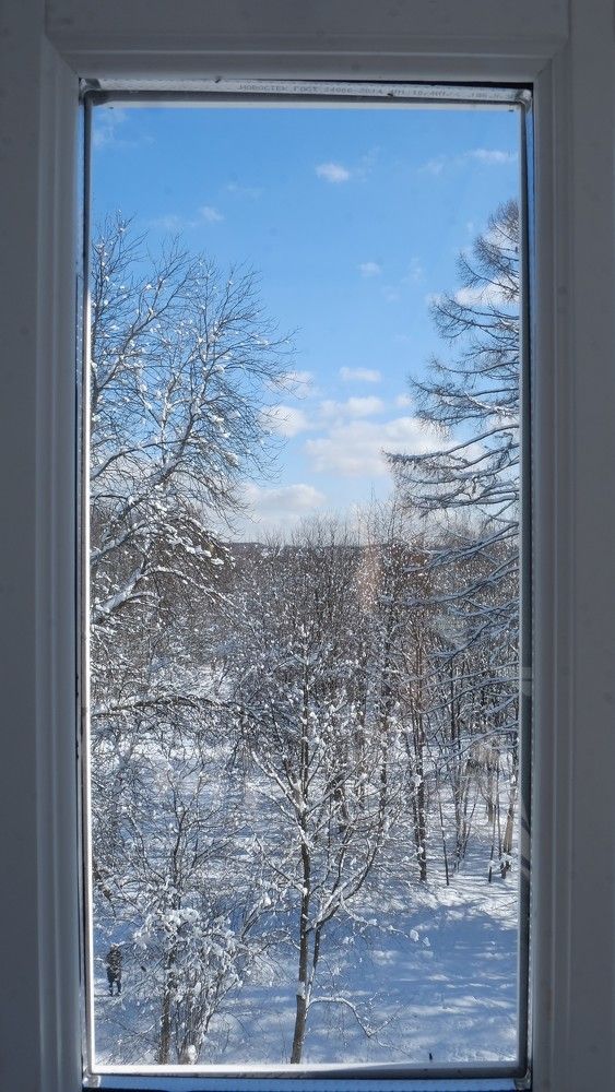 Морозное утро