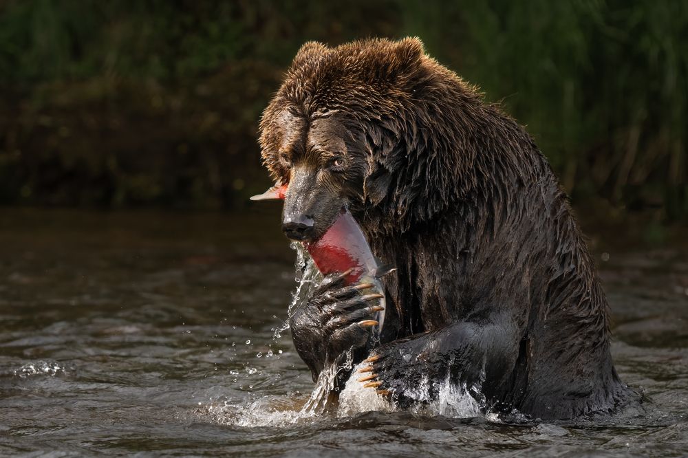 Photograph by Николай Мозгунов