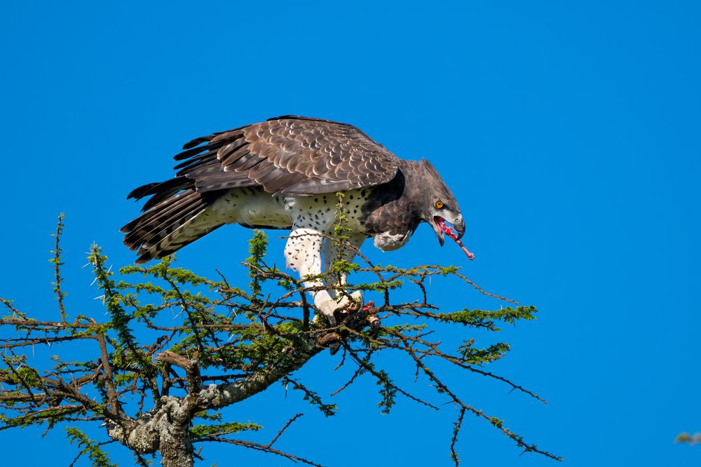 Photograph by Николай Мозгунов