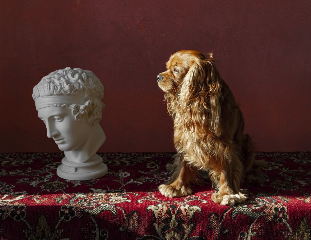 Фотография автора Galina Sa