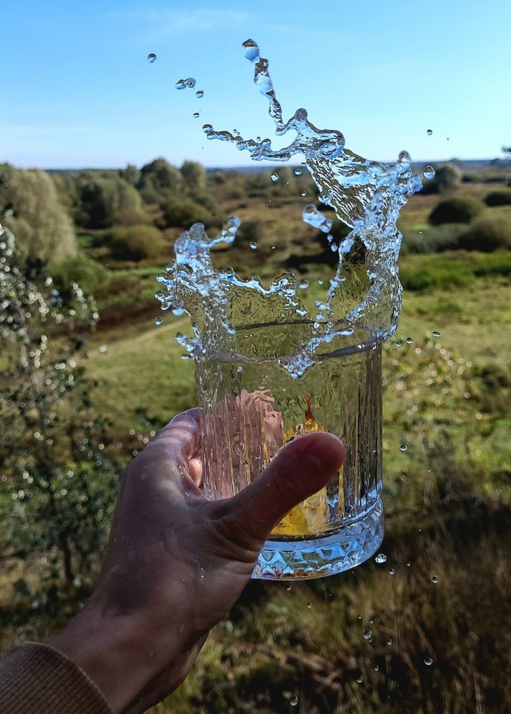 Photograph by Елена