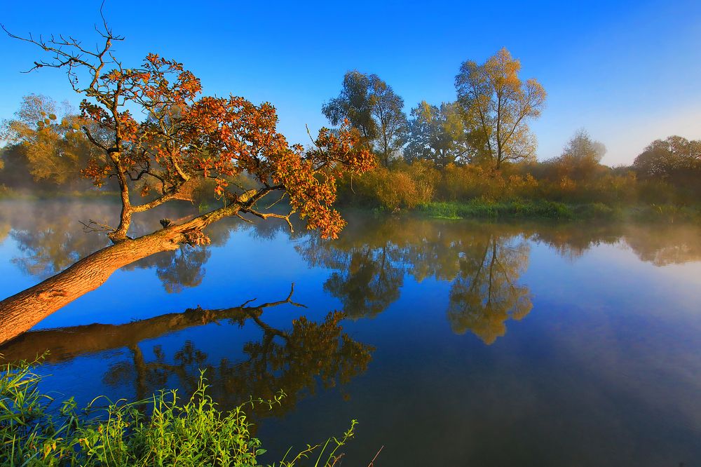 Осень утопающая в синеве.