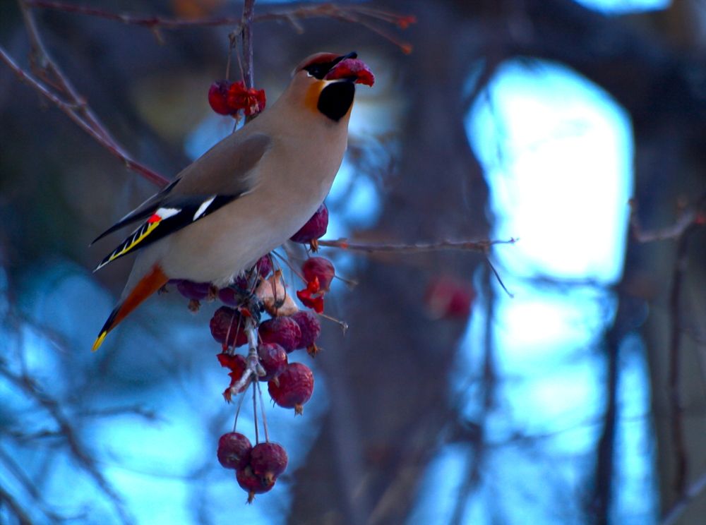 Photograph by Сергей Рябов