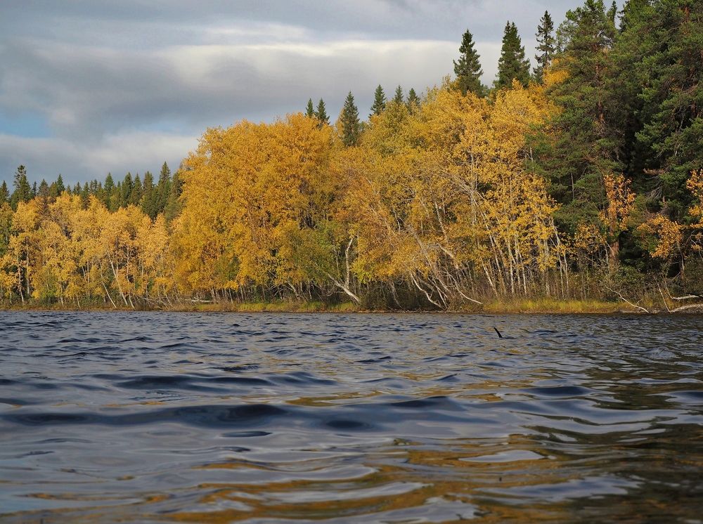 Photograph by Евгений Яковлев