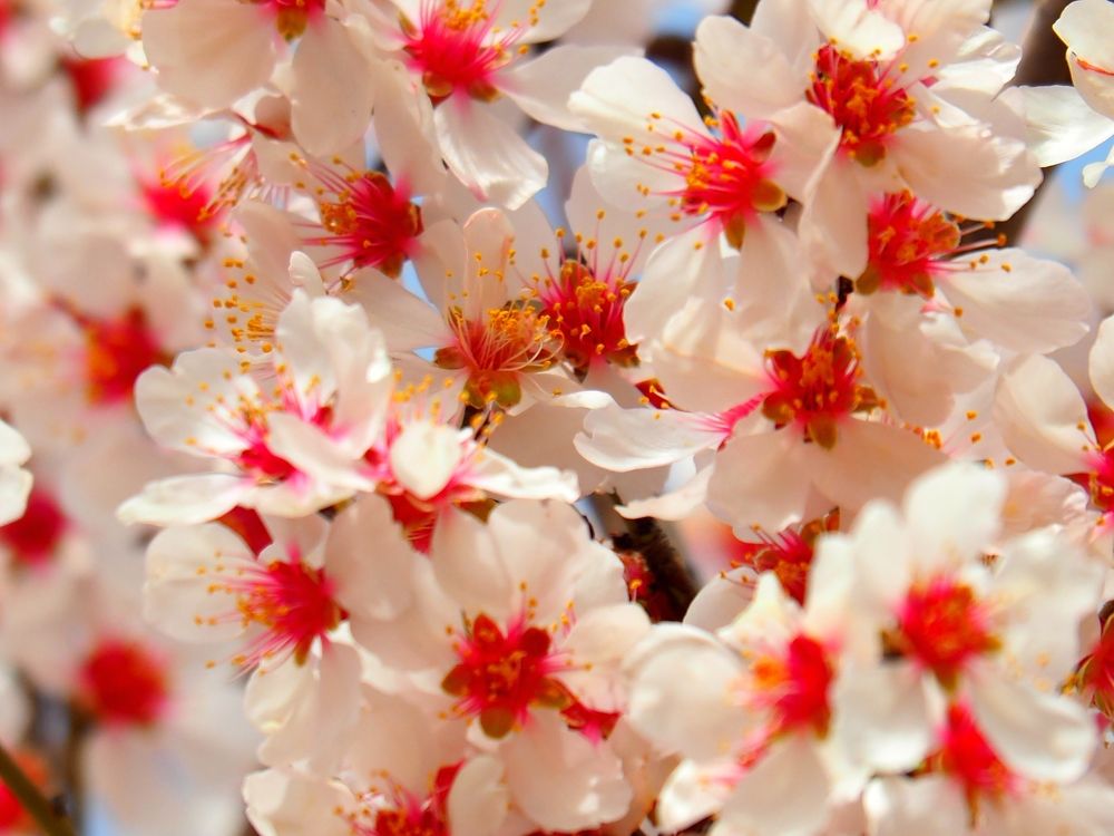 Photograph by PERESHEIN ANDREY