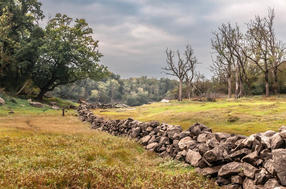 Photograph by Marcin Bochenek